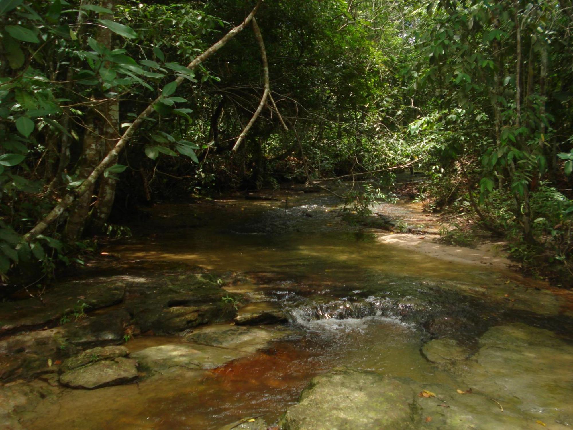 Chapada dos Guimarães 雅尔丁达沙帕达旅馆酒店 外观 照片