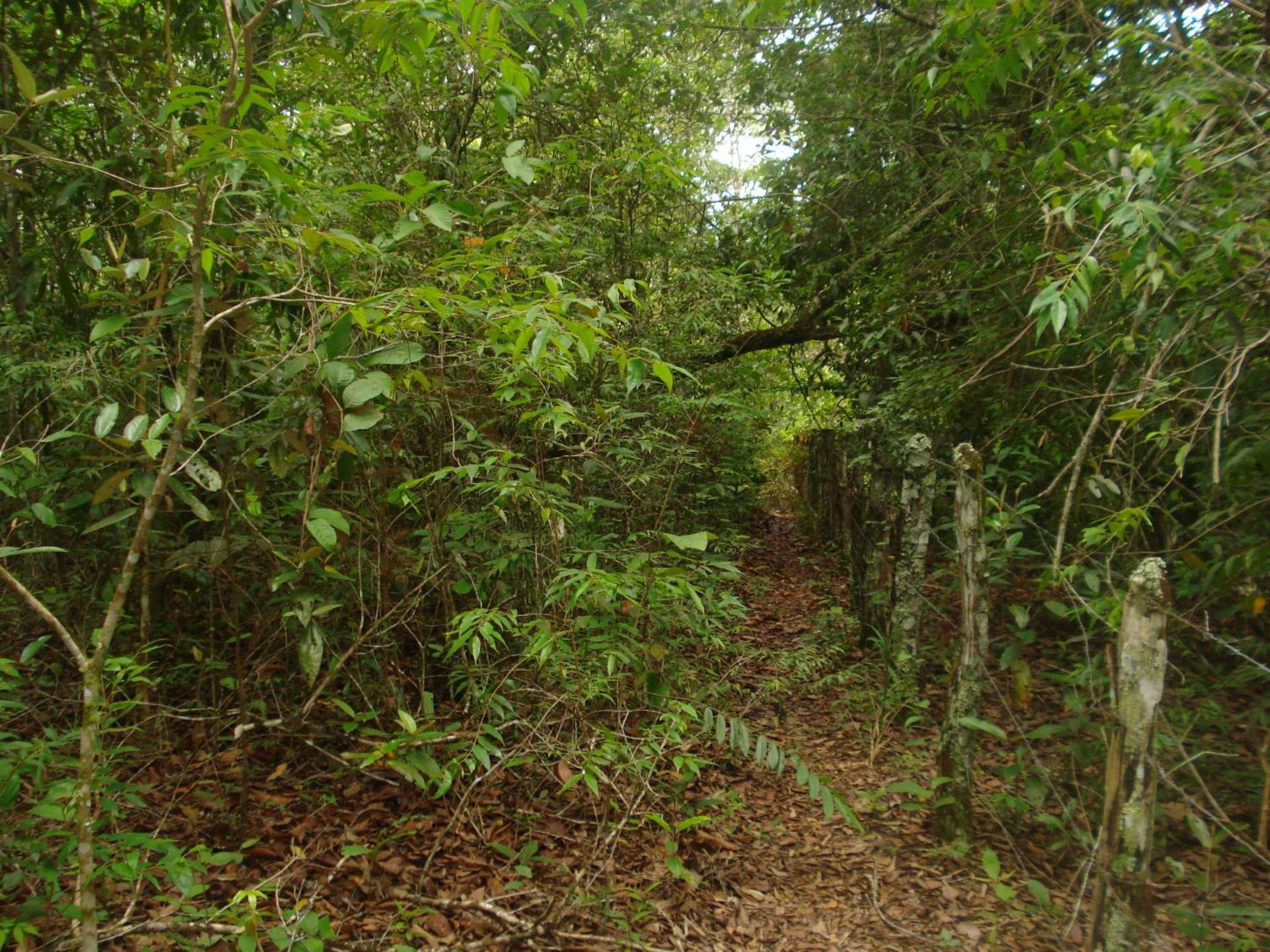 Chapada dos Guimarães 雅尔丁达沙帕达旅馆酒店 外观 照片